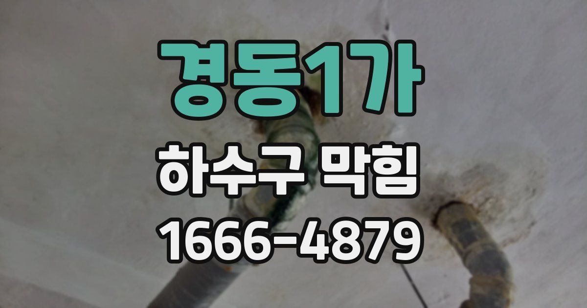 경동1가 하수구 막힘