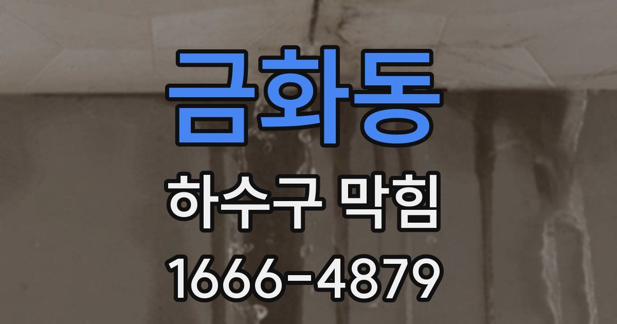 금화동 하수구 막힘