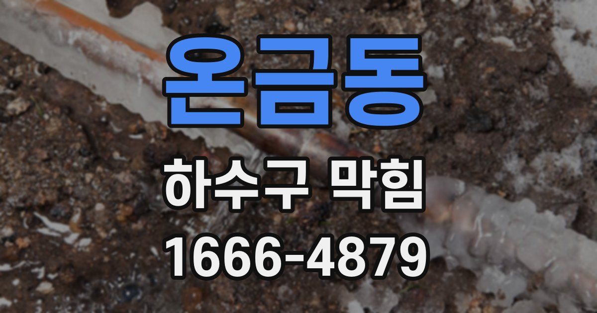 온금동 하수구 막힘