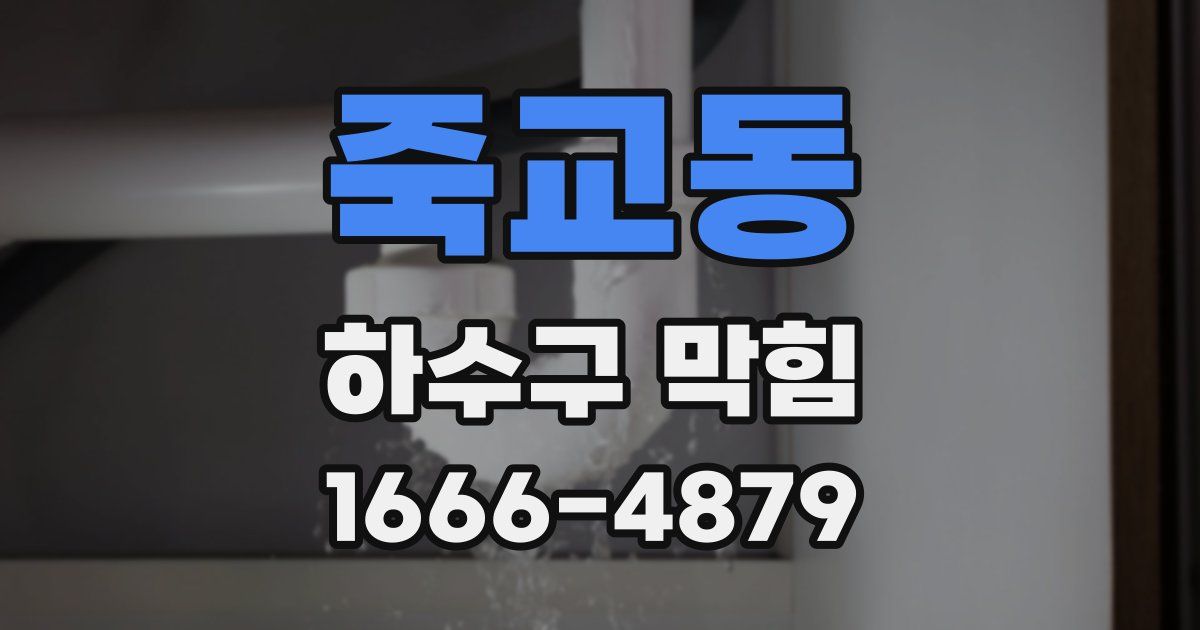 죽교동 하수구 막힘