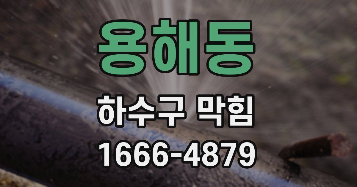 용해동 하수구 막힘