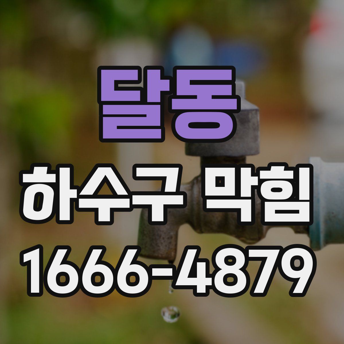 달동 하수구 막힘