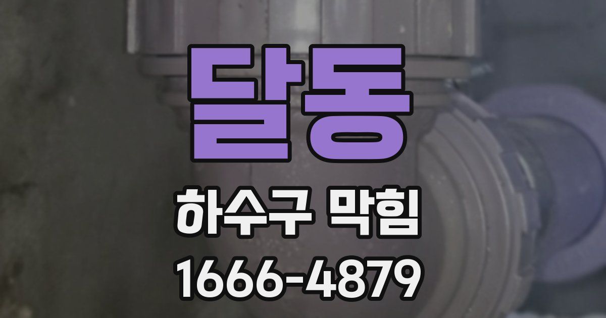 달동 하수구 막힘