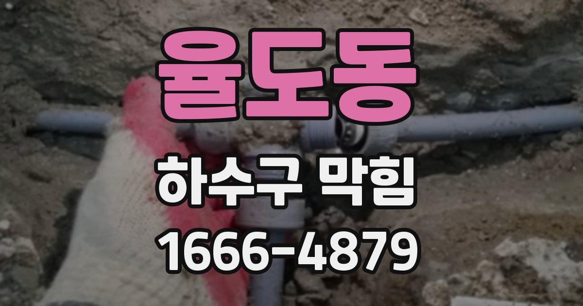율도동 하수구 막힘