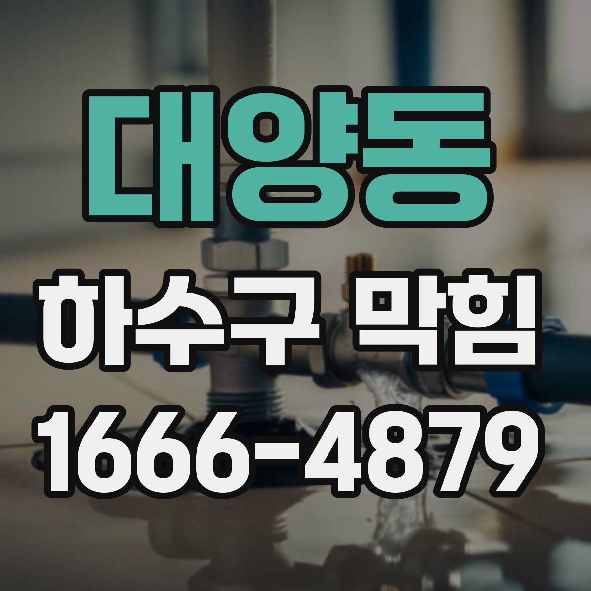 대양동 하수구 막힘