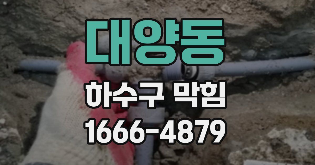 대양동 하수구 막힘