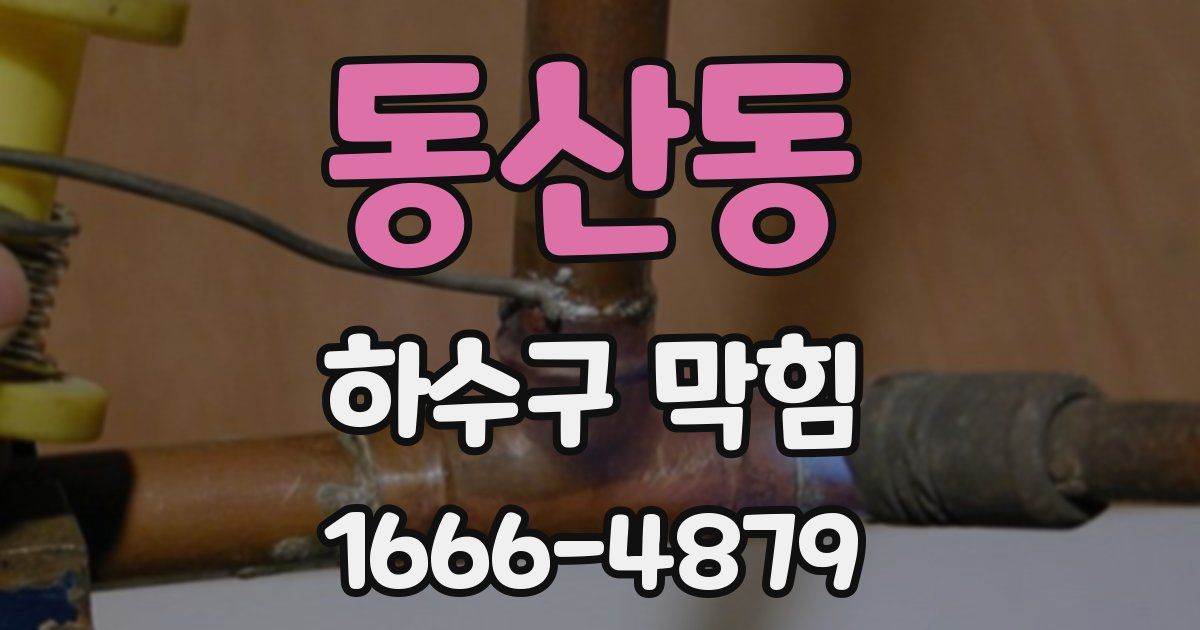 동산동 하수구 막힘
