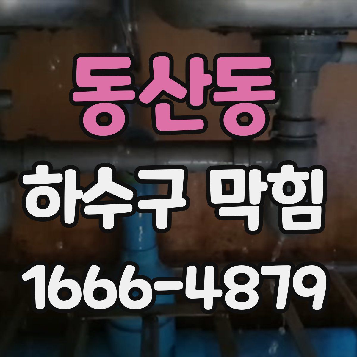 동산동 하수구 막힘