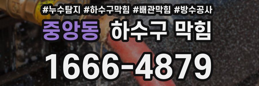 중앙동 하수구 막힘