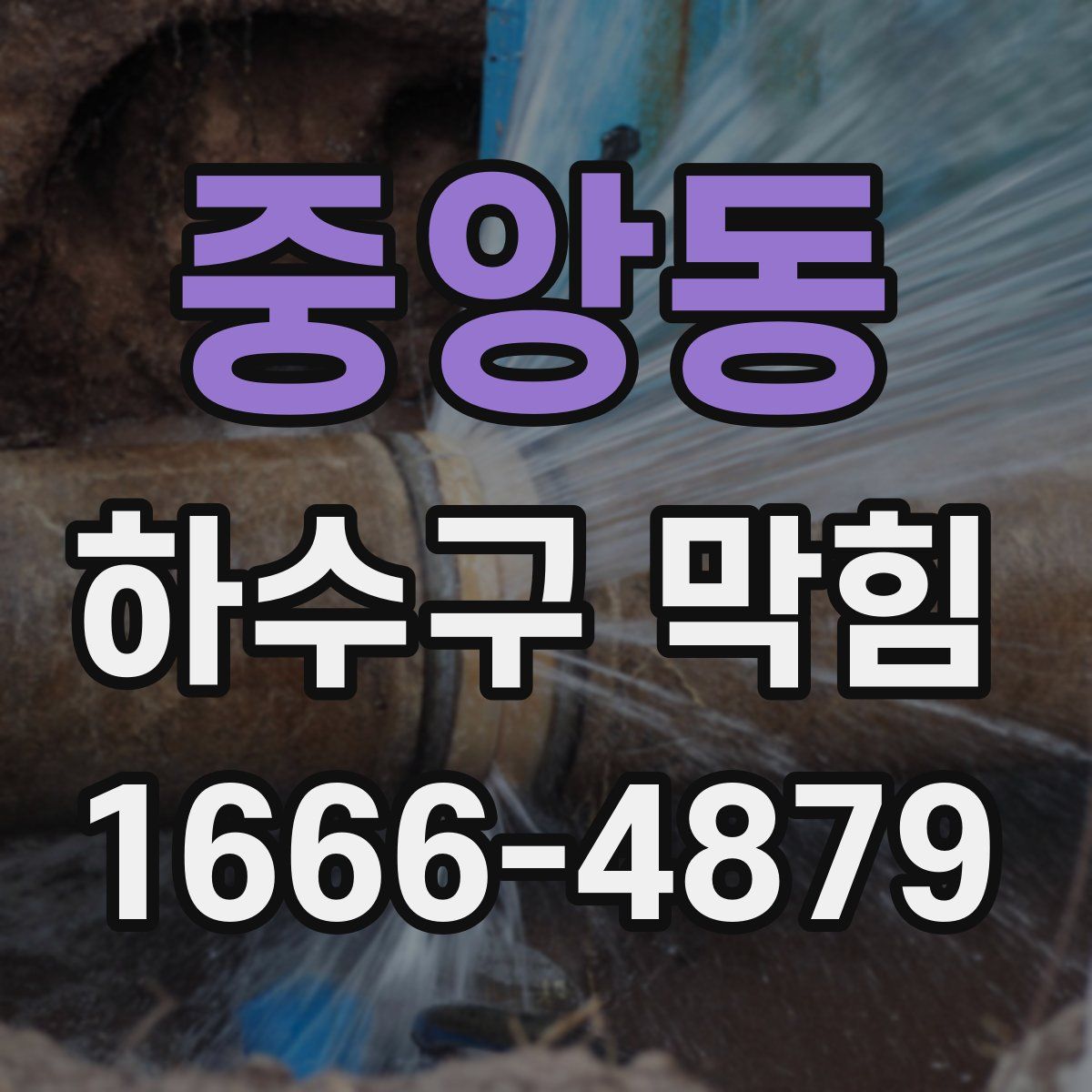 중앙동 하수구 막힘