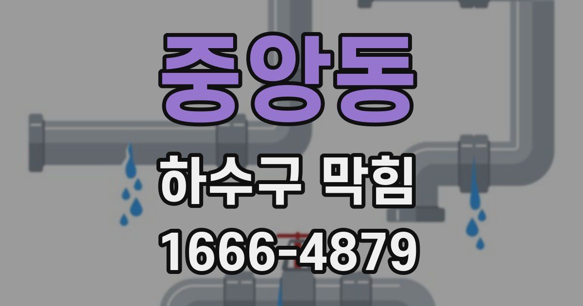 중앙동 하수구 막힘