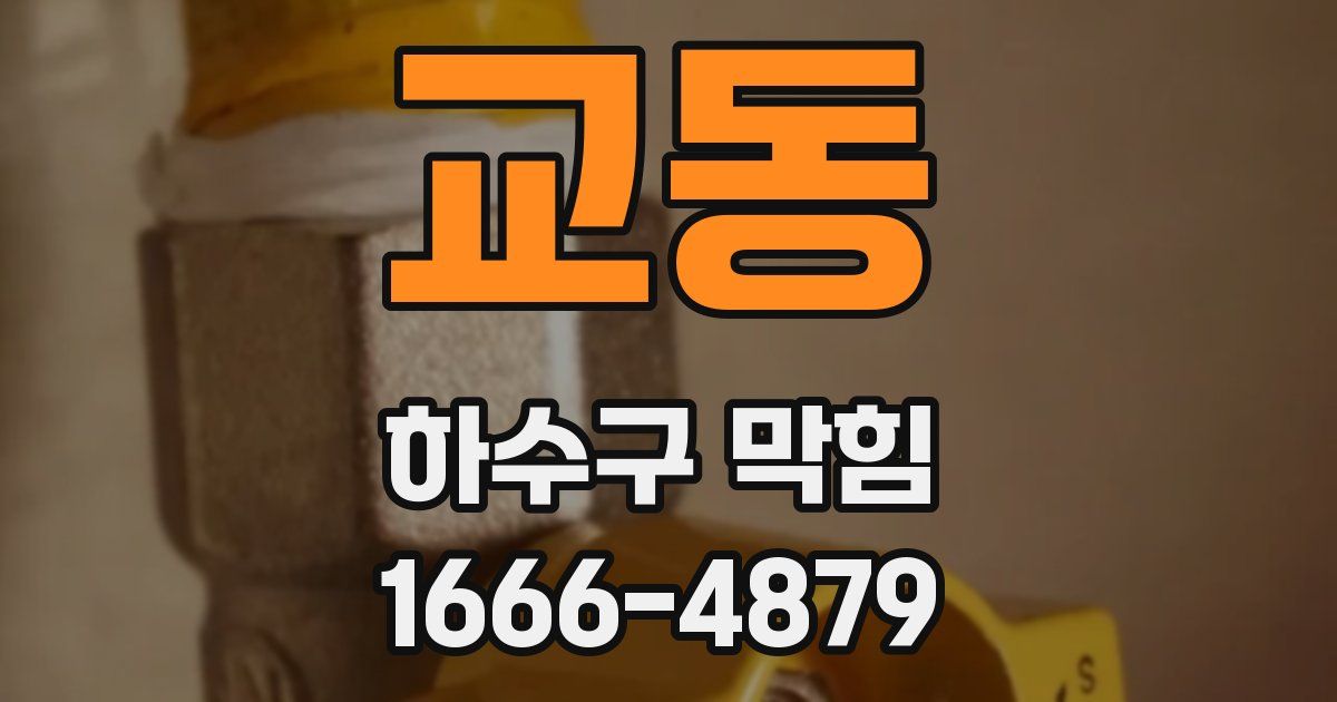 교동 하수구 막힘