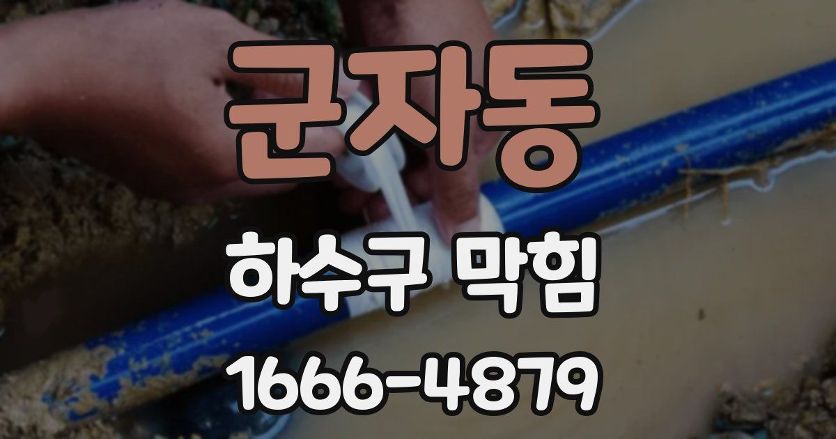 군자동 하수구 막힘