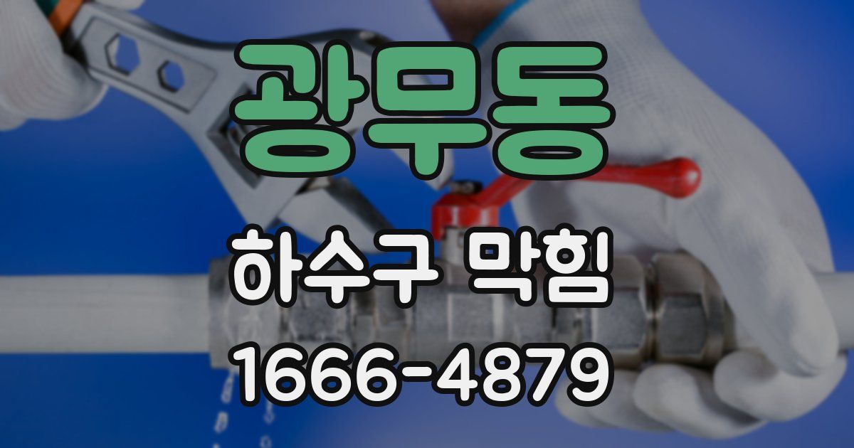 광무동 하수구 막힘