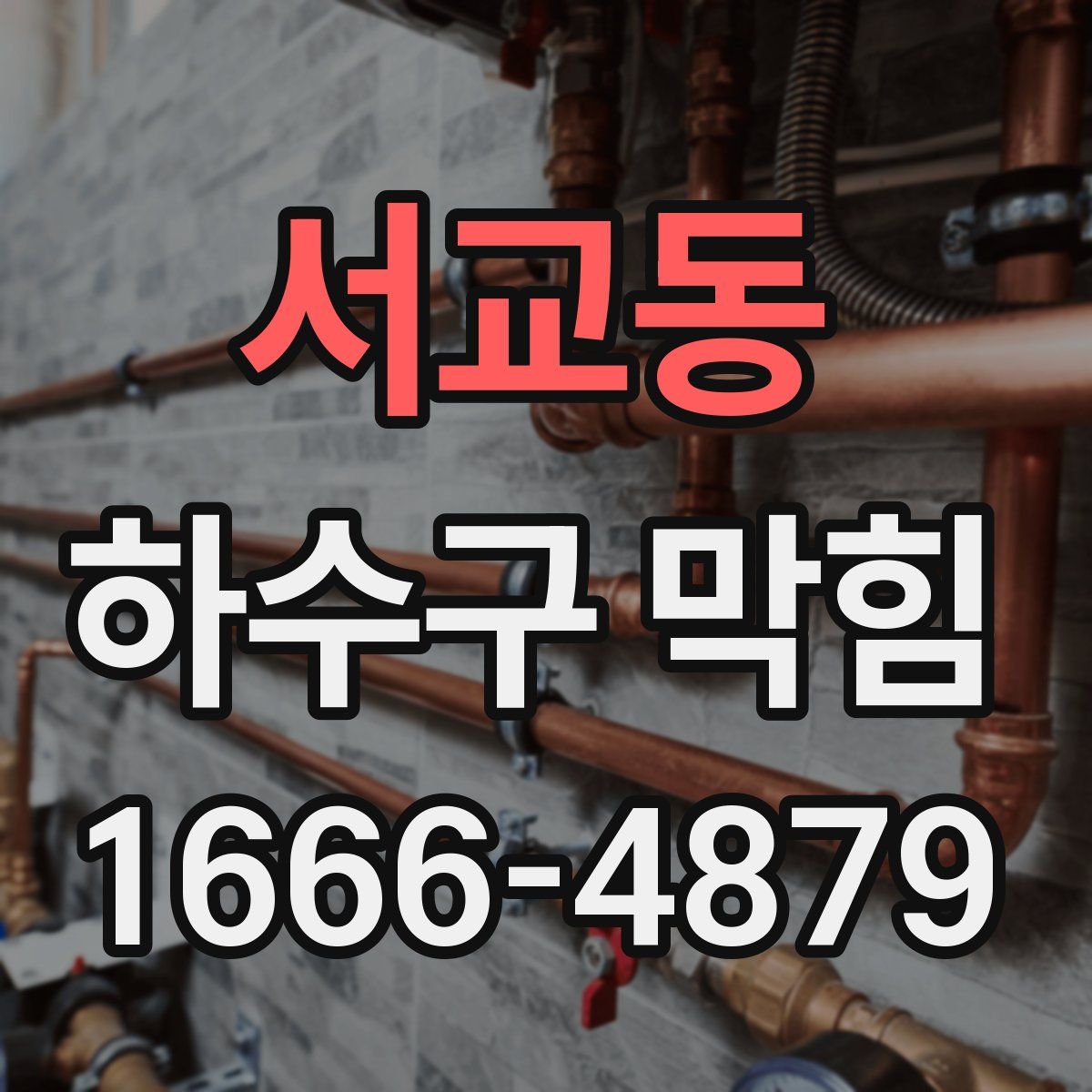 서교동 하수구 막힘
