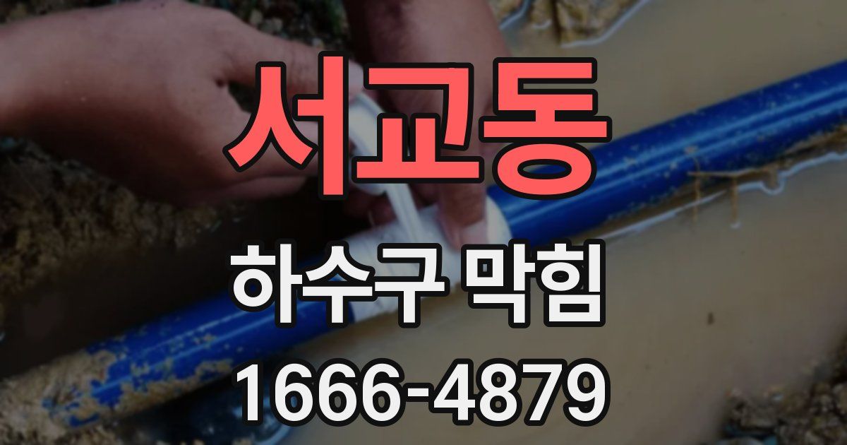 서교동 하수구 막힘