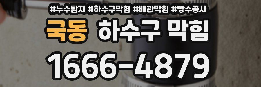 국동 하수구 막힘