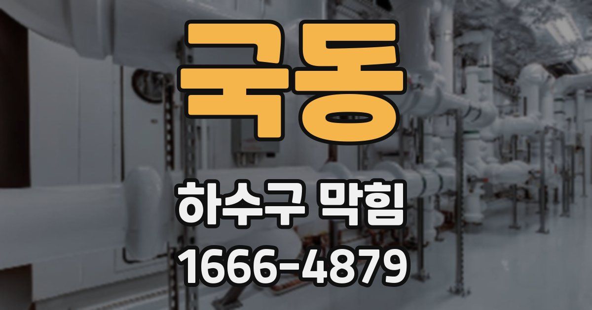 국동 하수구 막힘