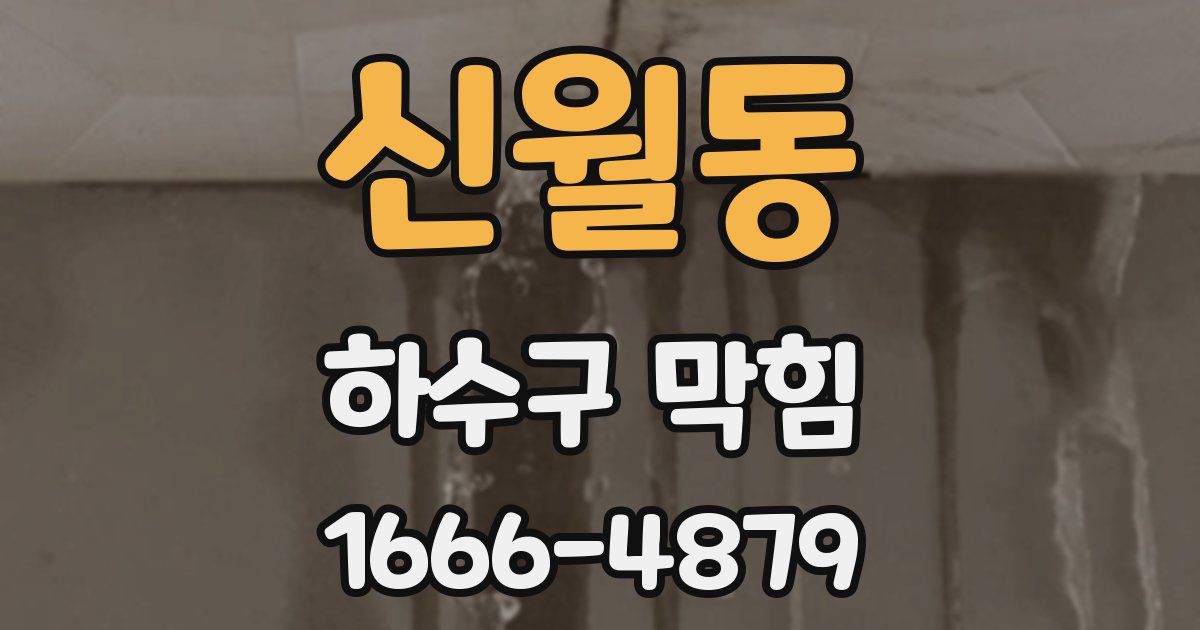 신월동 하수구 막힘