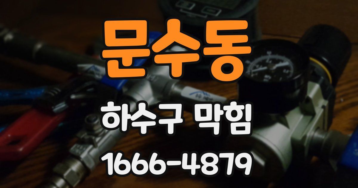문수동 하수구 막힘