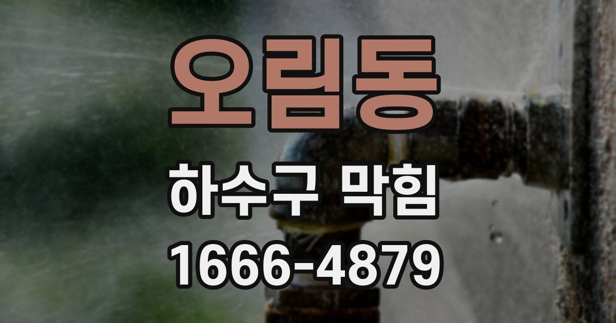 오림동 하수구 막힘