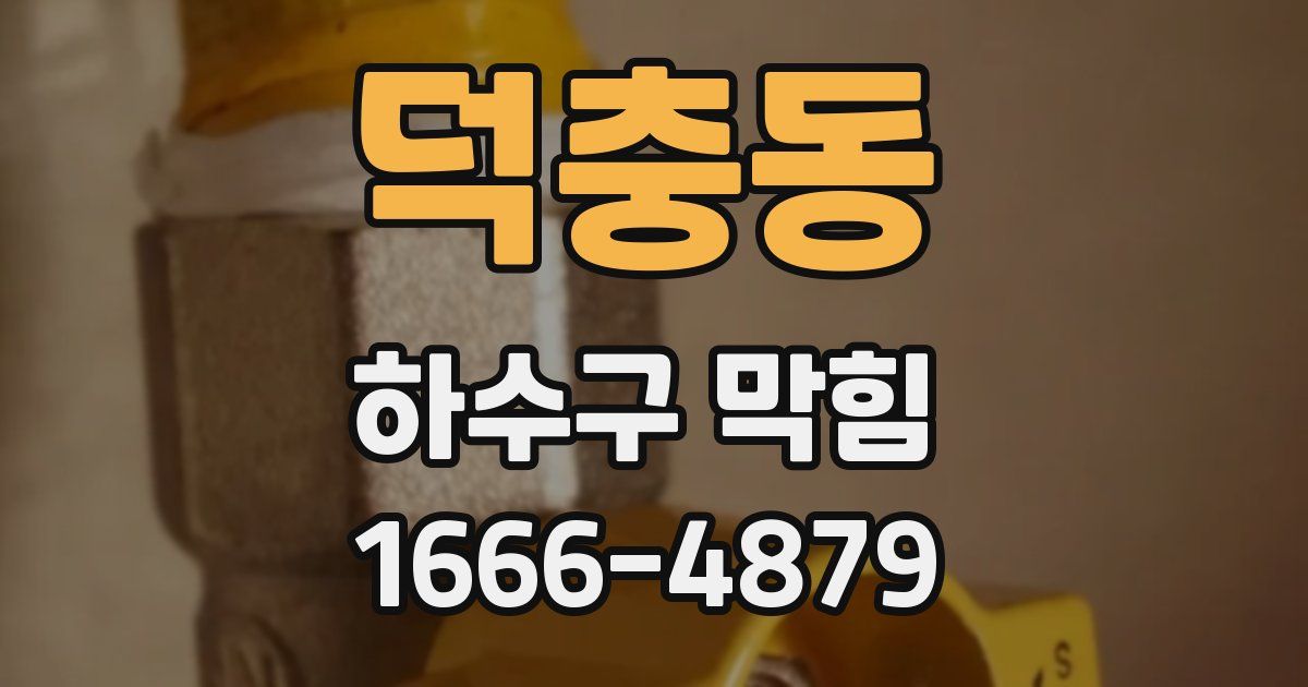 덕충동 하수구 막힘