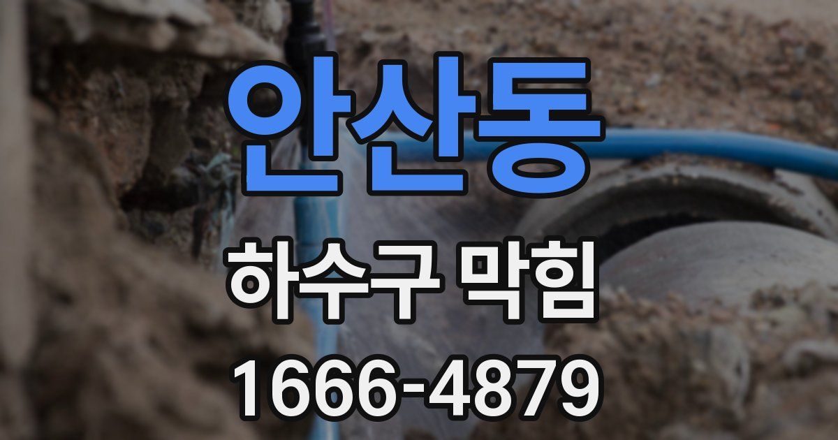 안산동 하수구 막힘