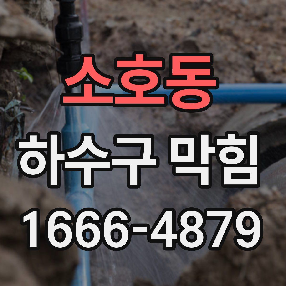 소호동 하수구 막힘