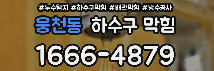 웅천동 하수구 막힘