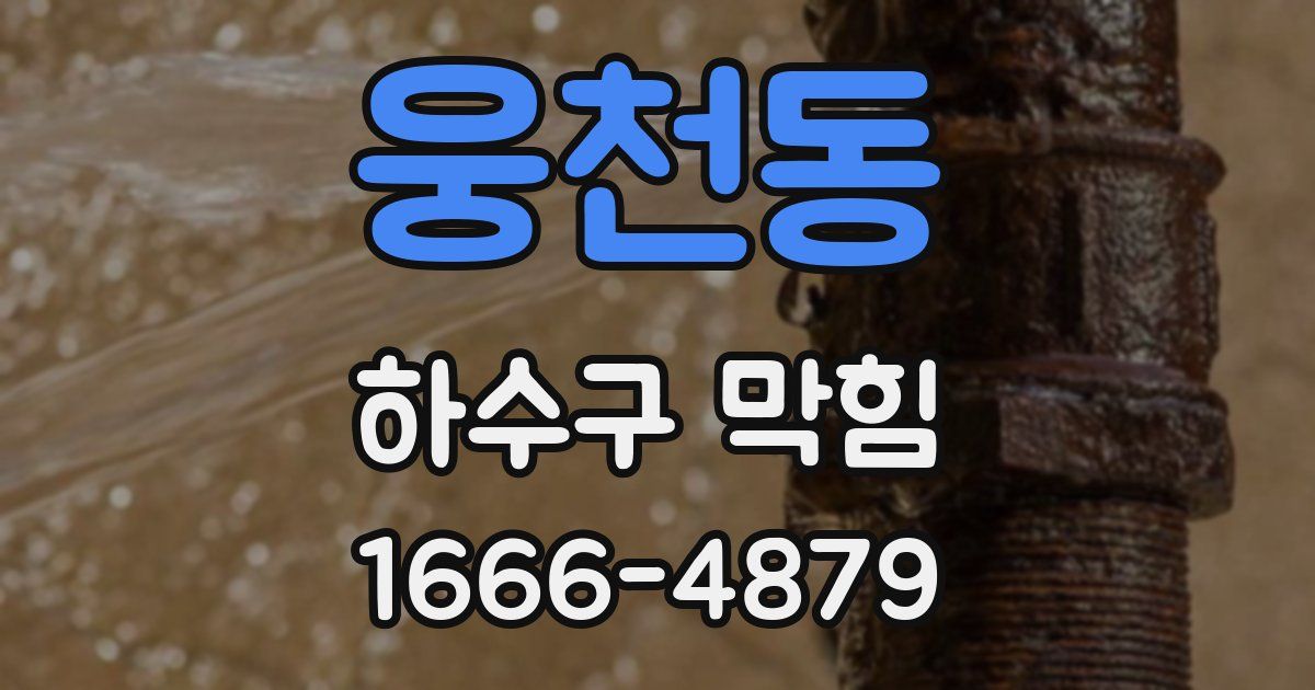 웅천동 하수구 막힘