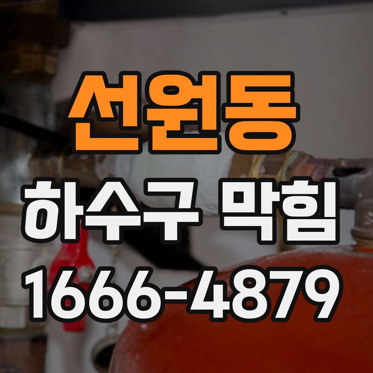 선원동 하수구 막힘