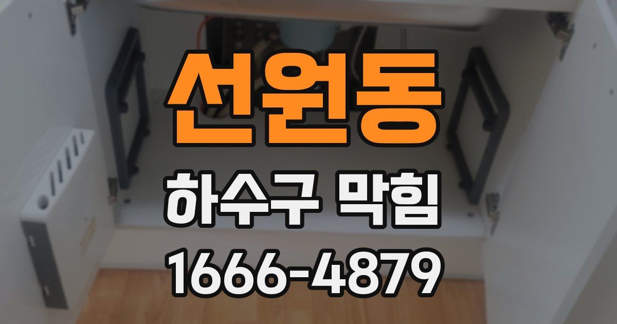 선원동 하수구 막힘