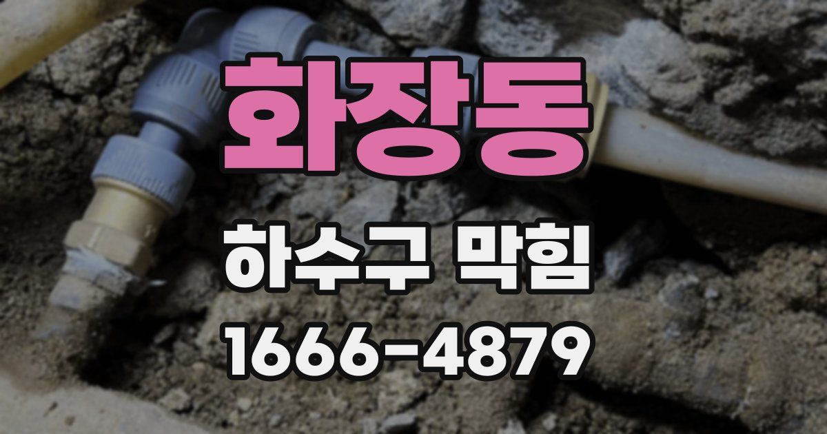 화장동 하수구 막힘
