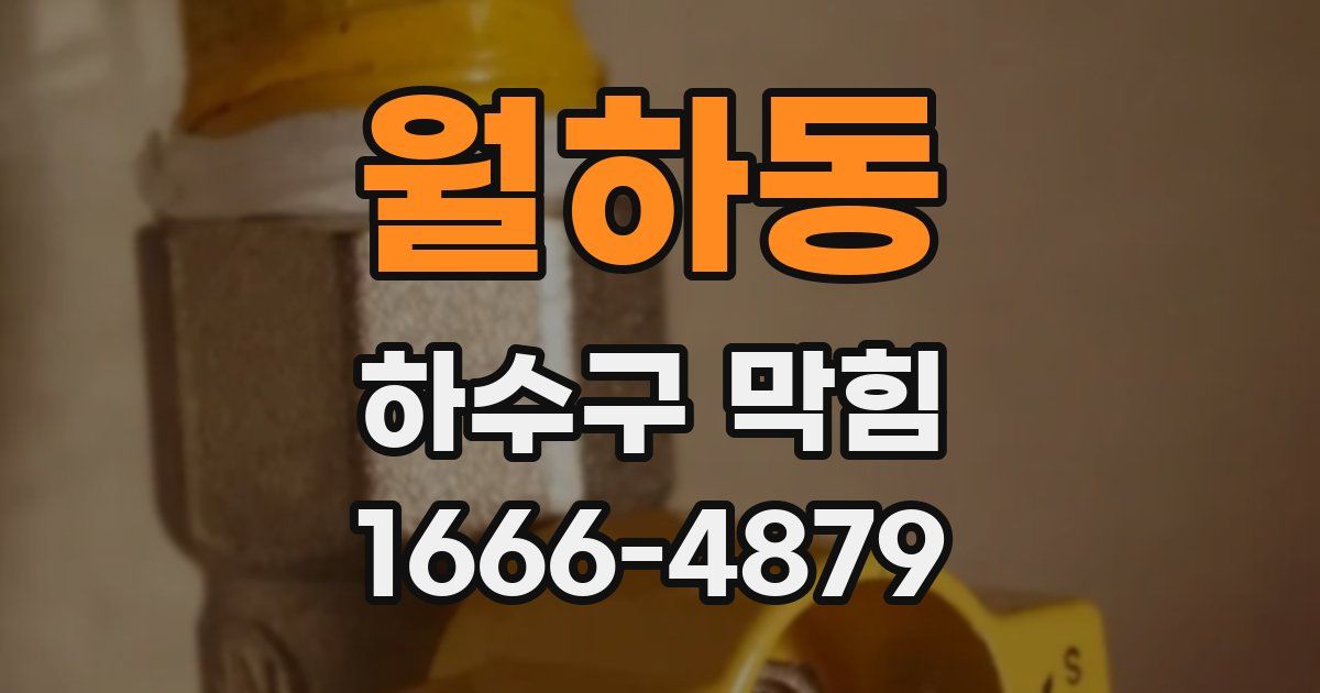 월하동 하수구 막힘