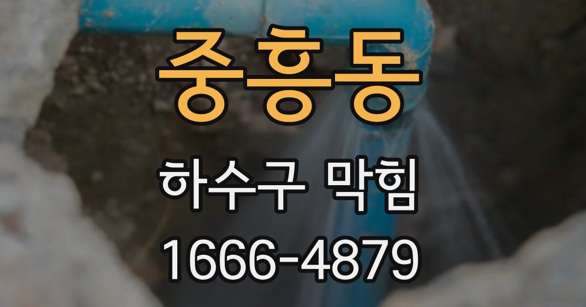 중흥동 하수구 막힘