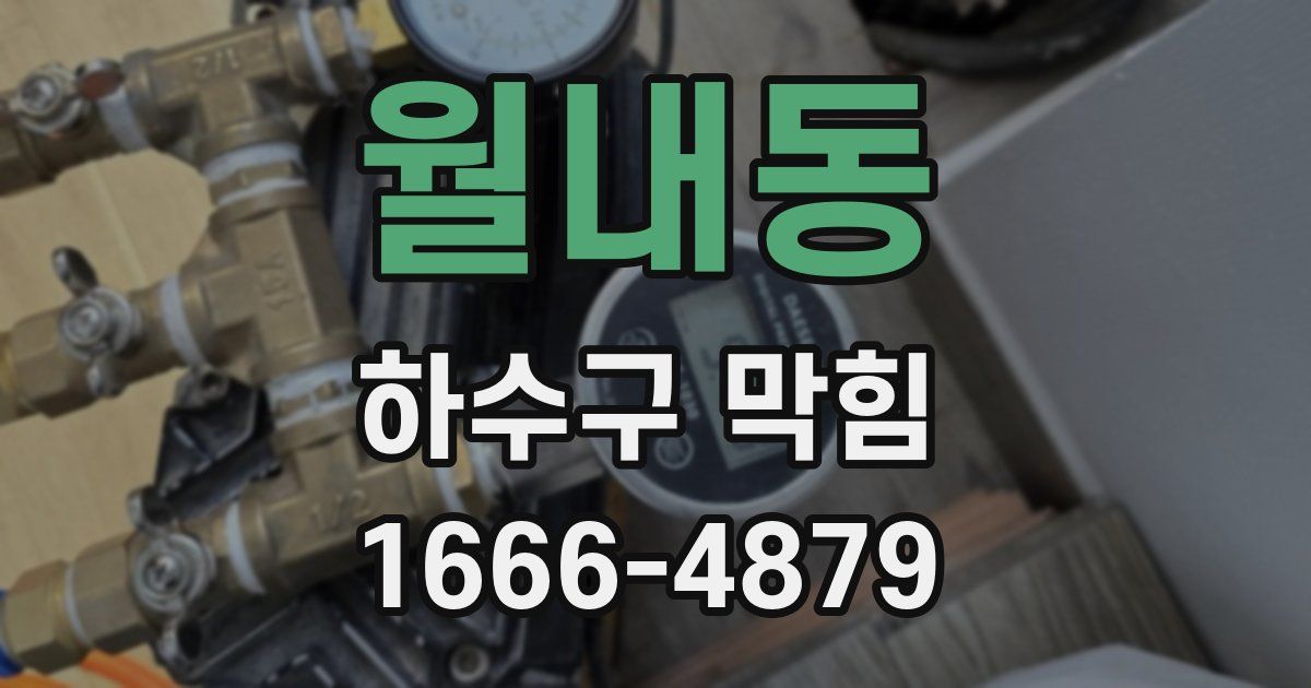 월내동 하수구 막힘