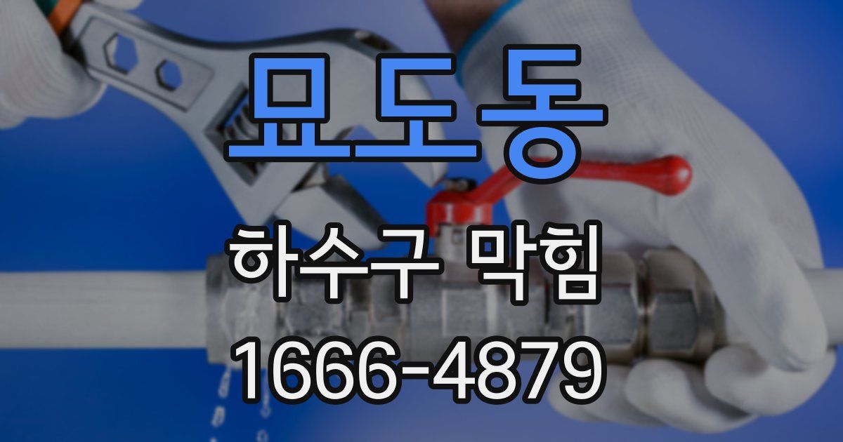 묘도동 하수구 막힘