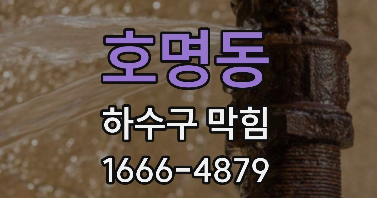 호명동 하수구 막힘