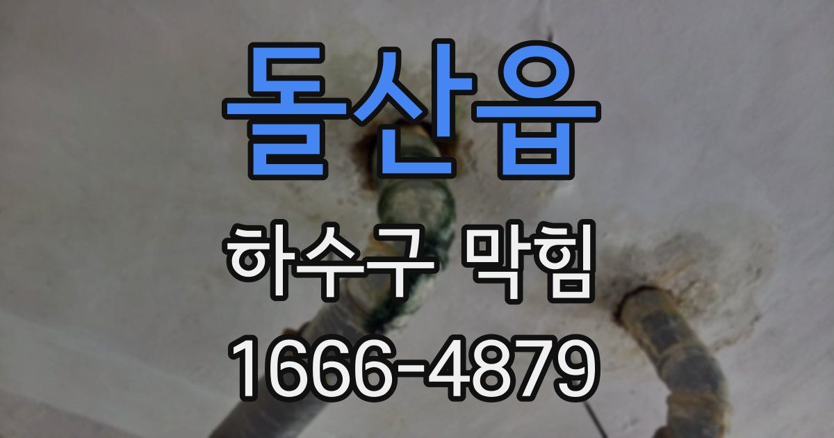 돌산읍 하수구 막힘