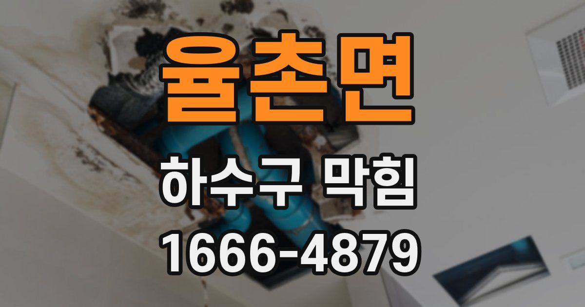 율촌면 하수구 막힘