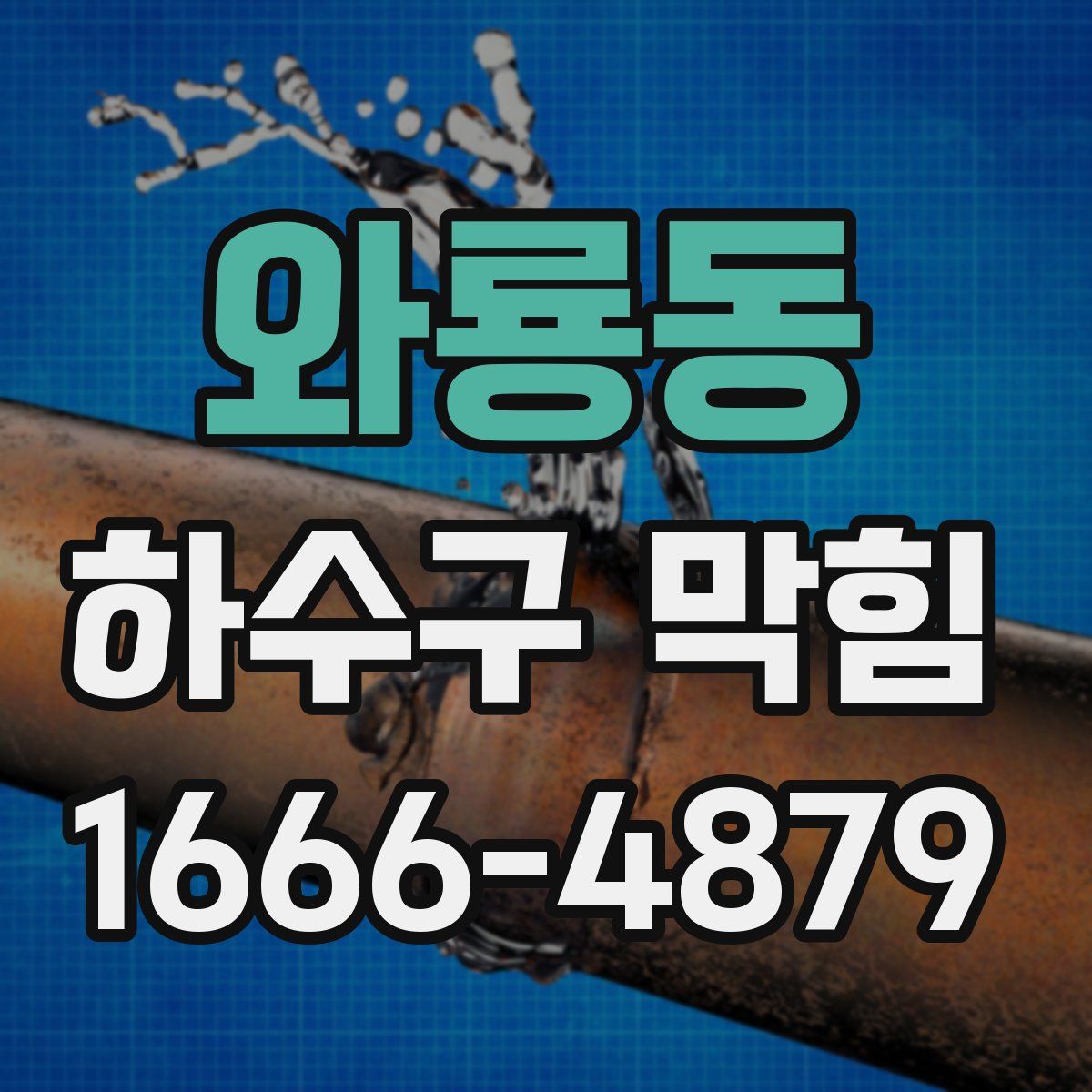 와룡동 하수구 막힘