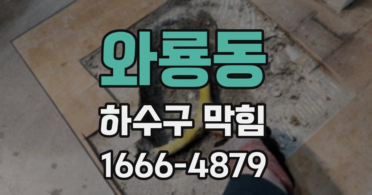 와룡동 하수구 막힘