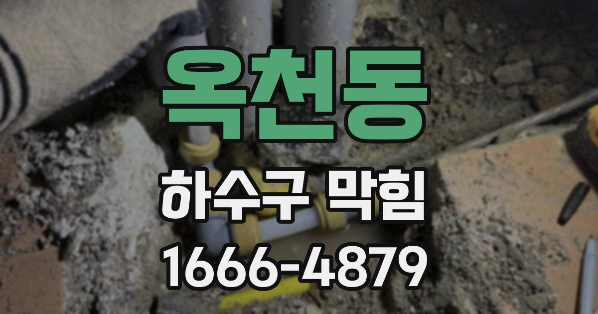 옥천동 하수구 막힘