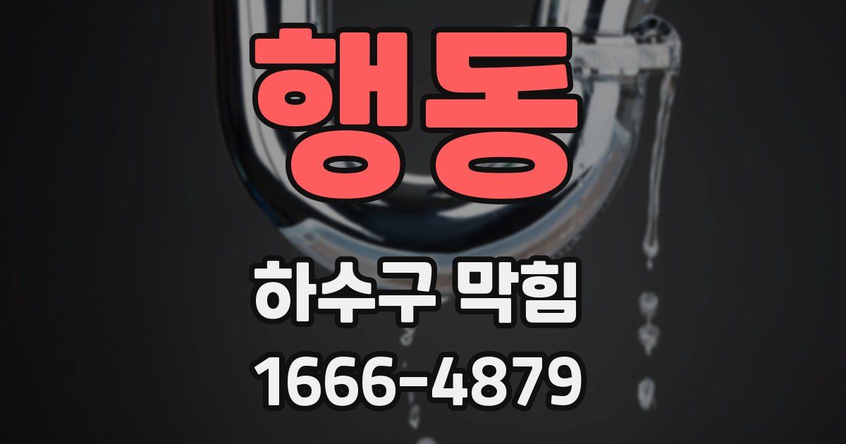 행동 하수구 막힘