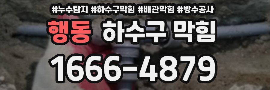 행동 하수구 막힘