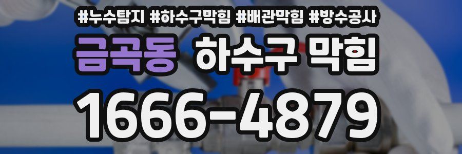 금곡동 하수구 막힘