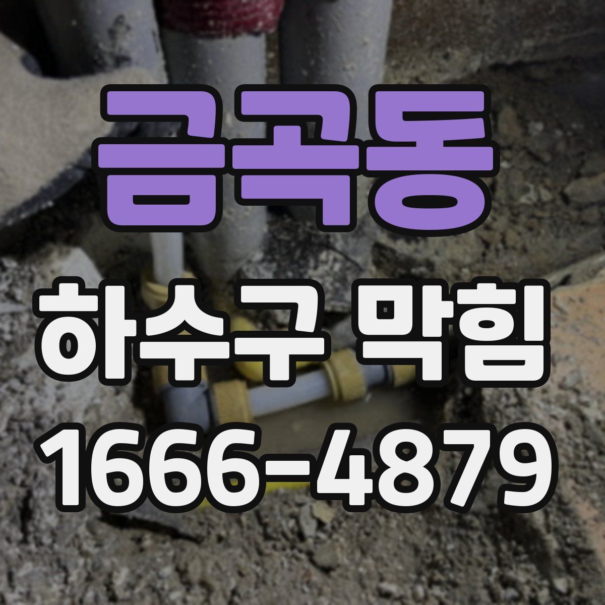 금곡동 하수구 막힘