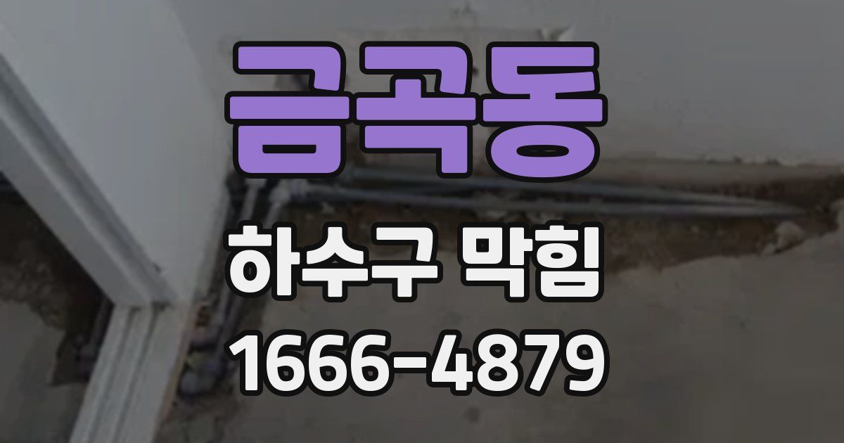 금곡동 하수구 막힘