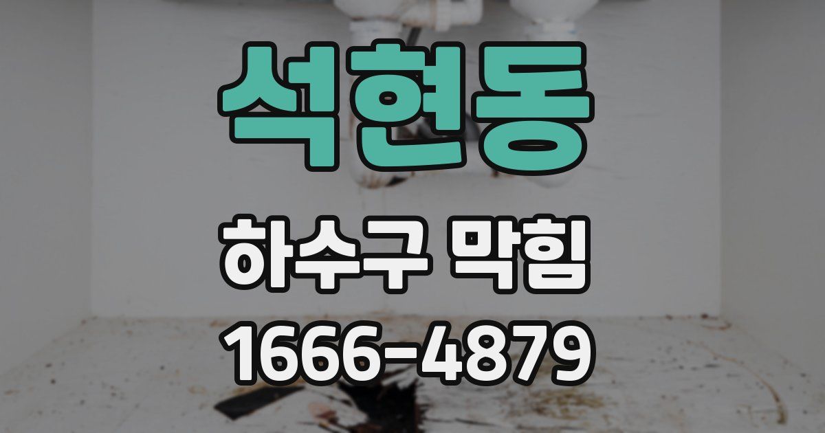 석현동 하수구 막힘