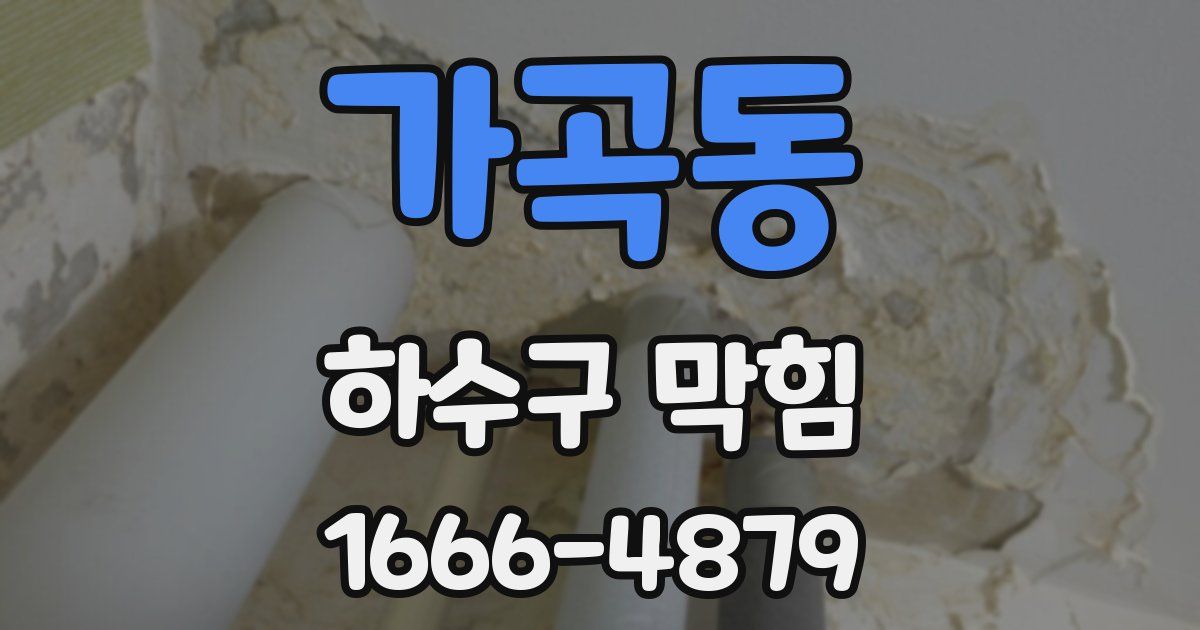 가곡동 하수구 막힘